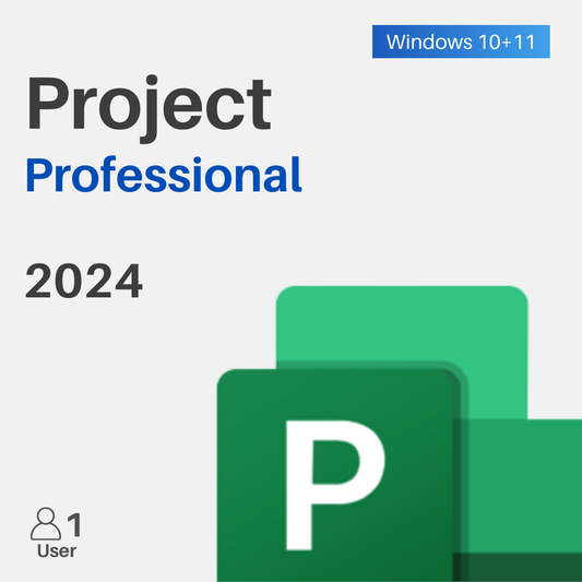 Project 2024 Professional for Windows PC
